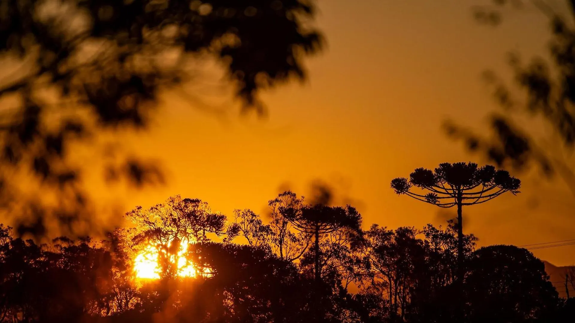 Holiday home Kairos Glamping - Rancho Queimado - Sc Villa